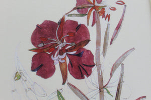 Willow Herb Print