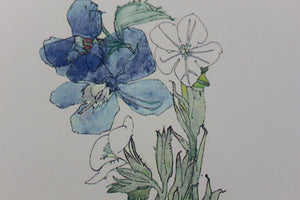 Mackintosh "Borage" Print