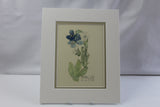 Mackintosh "Borage" Print