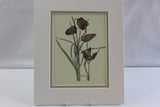 Mackintosh "Fritilaria" Print